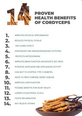 ORGANIC Cordyceps Tincture – MAX Strength 20,000 MG! NOT IMPORTED | MADE IN USA
