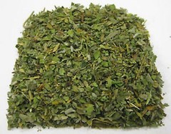 GUDMAR LEAVES, Gymnema Sylvestre, Indian Herbs , Natural and Fresh!