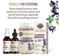 Garden of Life Organics OIL OF OREGANO Seasonal Drops Liquid Herbal Supplement