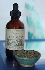 AGRIMONY Tincture Anti-inflammatory Detox Nourish ORGANIC FOLK Remedy Extract