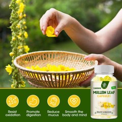 3Pack Mullein Leaf Capsules For Lung Cleansing & Detox Herbal Dietary Supplement