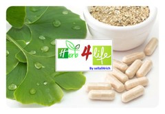 100% ORGANIC GINKGO LEAF CAPSULE (500mg/capsule) MEMORY, IMPROVE ALERTNESS GINKO