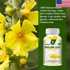 Mullein Leaf Extract 1500mg Lung Cleanse Respiratory Herbal 120 Capsules