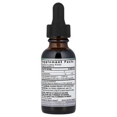 Nature s Answer Horsetail Alcohol-Free 2000 mg 1 fl oz 30 ml Alcohol-Free,