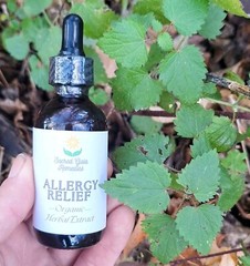 Allergy Relief Tincture / Extract 6 Herb Allergy & Immune Support Allergies