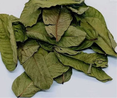 25g Sun-Dried Cassia Alata Leaves Powder Organic Herbal Skin Care Fresh Herb