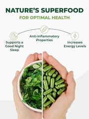 PURA VIDA MORINGA Organic Moringa Capsules, Pure Moringa Leaf Powder Single Orig