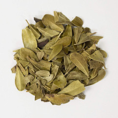 Uva Ursi Leaf Whole Premium Quality Herb FREE SHIP