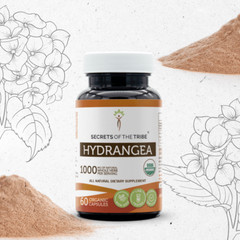 Secrets Of The Tribe Hydrangea Capsules, 500 mg