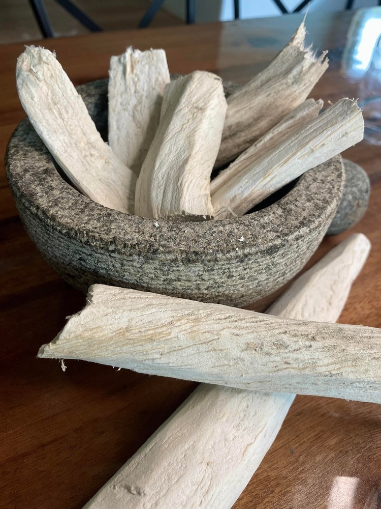 Synaptolepis kirkii (Uvuma-omhlope) Wildharvested (South Africa)