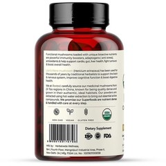 Lions Mane Mushroom Extract Capsules USDA Organic 60 Capsul c583