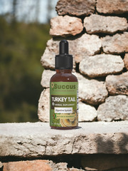 Turkey Tail Tincture – Gut Health