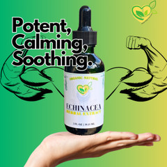 Echinacea Purpurea Non-Alcohol Extract Organic Liquid Drops 2 oz Immune Tincture