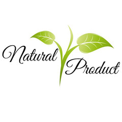 White Pine Needle Tincture – Wild Organic Pine Extract