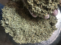 DAMIANA male loving effective ORGANIC bulk cut herb – 1/4 Kilogram (250 grams)