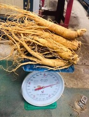 Korean Red Ginseng Root 5years *fresh* 1kg *man’s health*