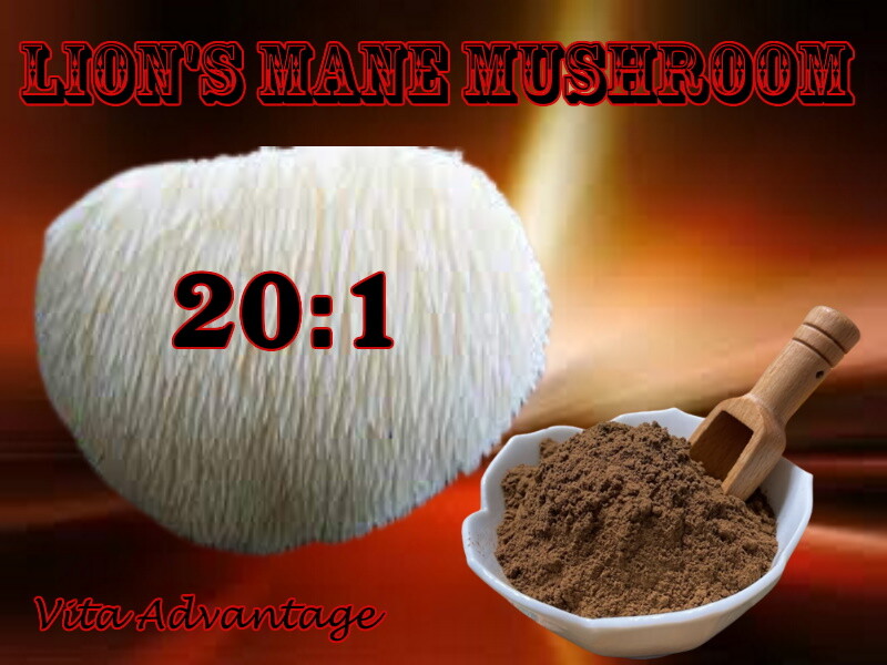 Organic LION’S MANE MUSHROOM 20:1 EXTRACT powder 50g – 100g