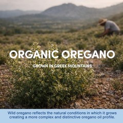 Water Soluble Wild Oregano Oil Organic Liquid Drops – 1.7 Fl Oz (Pack of 1)