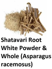 SHATAVARI SATAVARI Asparagus racemosus SATAWAR POWDER & WHOLE HERB