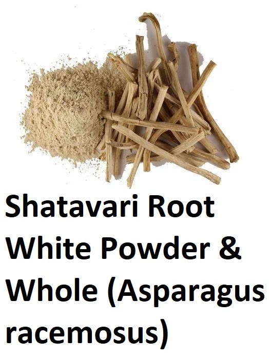 SHATAVARI SATAVARI Asparagus racemosus SATAWAR POWDER & WHOLE HERB