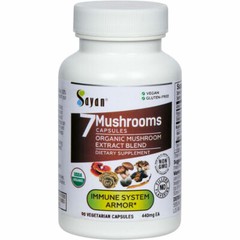 Chaga Mushroom Supplement Best Siberian Dried Wild Harvested 90 Capsules Tablets