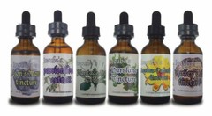 ICECUBE’S White BIRCH POLYPORE Triple Extracted 2 oz Tincture