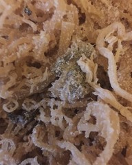 Sea Moss, Irish Moss West Indian Herbs 2 Lbs. Natural and fresh. Quality Brand.