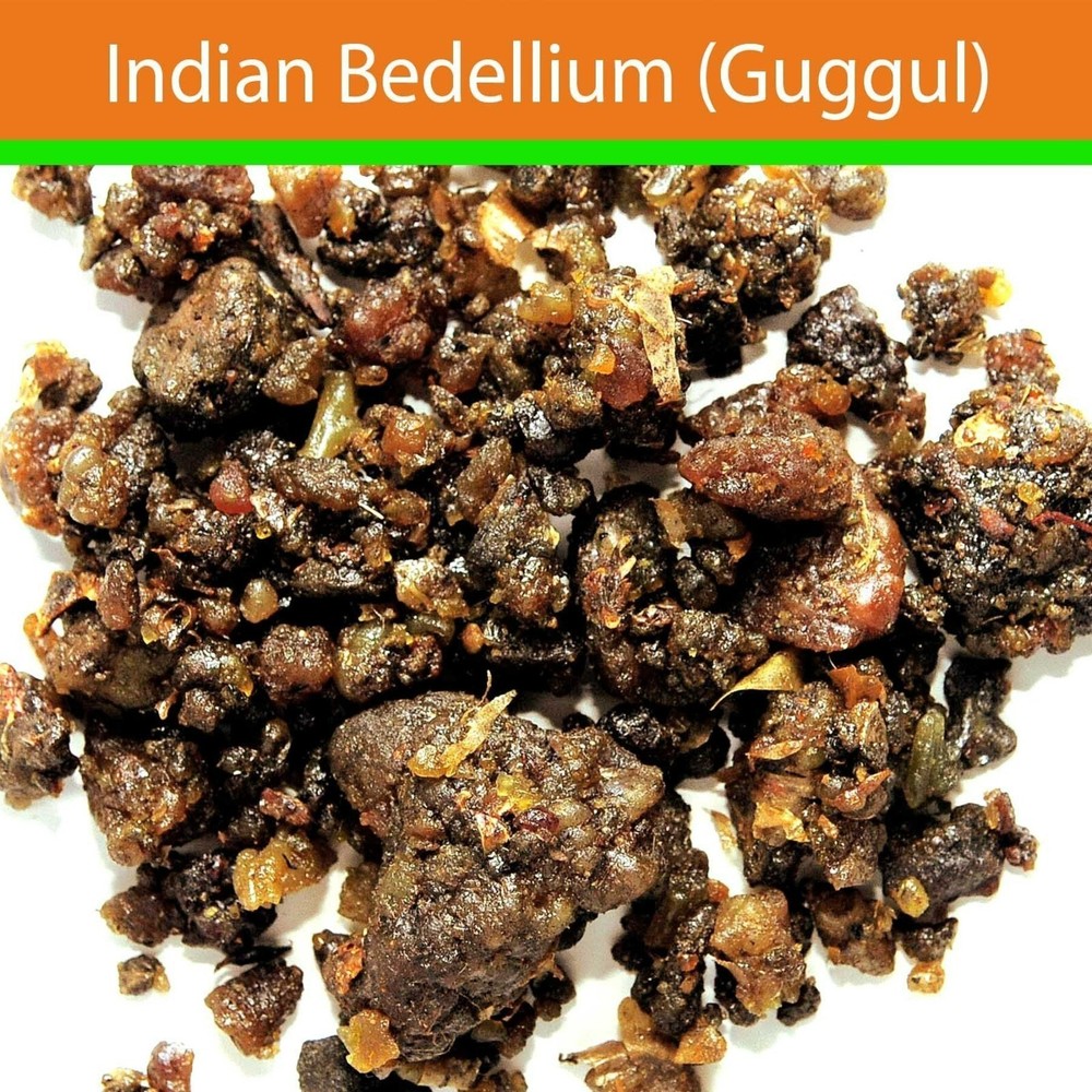 Guggul (Indian Bedellium)Tree Whole,Gugul,Guggul,Mukul Myrrh Tree Free Shipping