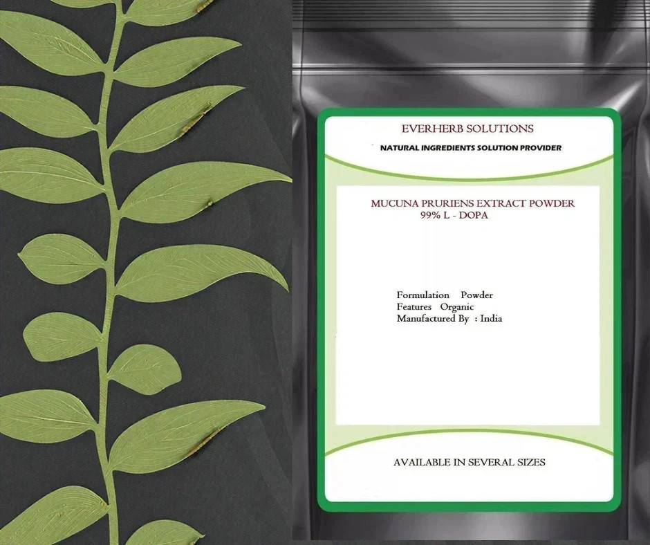 Mucuna Pruriens Extract Powder 99%, High quality Free Ship
