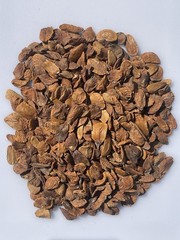 Abere Powder (Hunteria Umbellata) | Miracle Seed Powder | Premium Room Dried