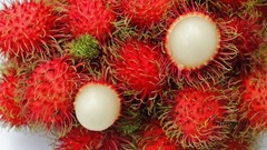 5 Seeds Rambutan Nephelium Lappaceum Sweet Juicy Tropical Malaysia Edible Fruits