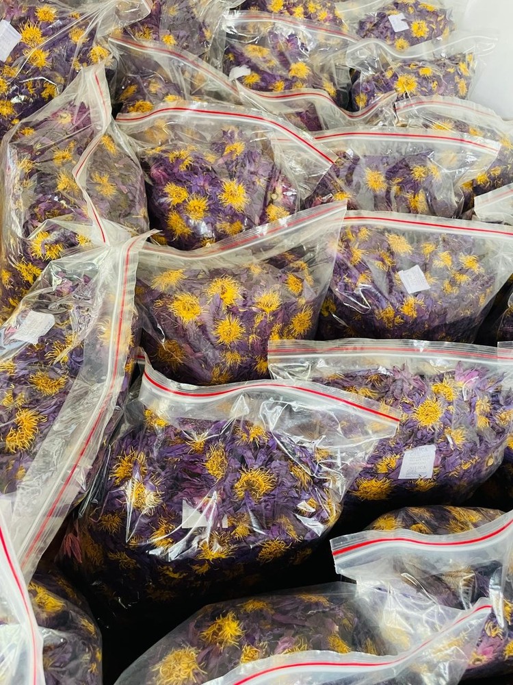 Blue Lotus |Nymphaea Caerulea| 100% Organic Herbal Hand Picked Flowers Tea