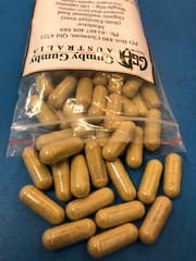 Mistletoe 100 quality capsules (Australian variety) – cool processed – Vege caps