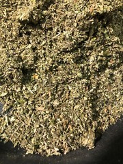 No.41 Mixed – Damiana Mullein Marshmallow Lobelia Skullcap Uva Ursi – 1 Ounce