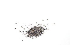 Lavender Flower Ultra, Lavandula angustifolia, 4oz 1/4lb, cooking, cosmetics