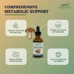 Organic Blood Sugar Support Tincture Mushrooms & Herb Liquid Drop Glucose Health