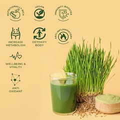 Saptamveda Wheatgrass Powder 500gm Each Set Of 2 U001