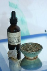 AGRIMONY Tincture Anti-inflammatory Detox Nourish ORGANIC FOLK Remedy Extract
