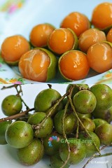 10 Seeds Melicoccus Bijugatus Quenepa Guinep Limoncillo Bajan Ackee Spanish Lime