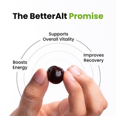 Better Alt Pure Himalayan Shilajit Gummies with 100% 60 Count (Pack of 1)