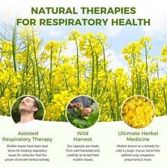 Mullein Leaf 120 Caps Vegan Natural Dietary Supplement For Lung Cleanse Detox