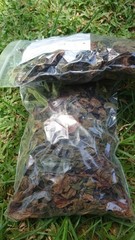 30g Dried Red Jatropha Curcas Leaves – Ratanjot Laljari Yatilung Jadi Herbs