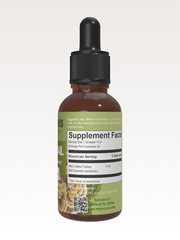 Turkey Tail Tincture – Gut Health