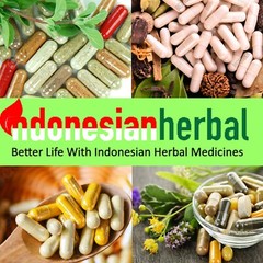 [idHerb] Capsule Pure Sambong Leaves /Sembung /Ngai Camphor (Blumea Balsamifera)