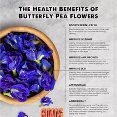 Butterfly Pea Flower, Organic Ceylon Blue Herbal Tea Natural Clitoria ternatea ☕