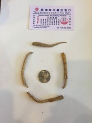Ginseng Half Wild from Wisconsin USA 7 years 1LB Small Root