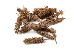 Dried Prunella Vulgaris – Common Selfheal, Heal-All Natural Herb by NY Spice