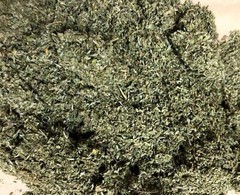 DAMIANA male loving effective ORGANIC bulk cut herb – 1/4 Kilogram (250 grams)