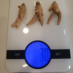 1LB 100% American Ginseng Root Extra Large Round Root US Seller 美国花旗参特大泡参