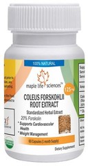 Coleus Forskohlii 20% Forskolin Extract Pure & High Quality